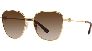 DG 2293 02/13 Gold Brown