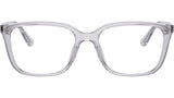 RB7248D Optics 8411