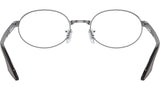 RB6481V Optics 3123