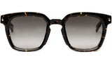 Paolo C127 tortoise