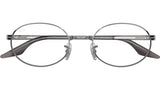 RB6481V Optics 3123