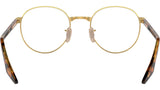 RB3691V Optics 2500