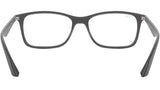 RB7047 Optics 5482