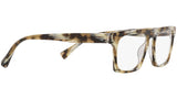 N°861 3099 004 tortoise