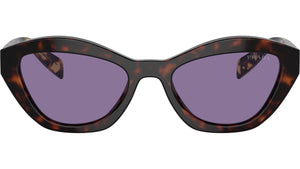 PR A02S 17N50B Tortoise