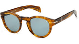 DB 7041/S Brown Horn Green