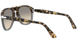 PO0649 brown tortoise and grey grey