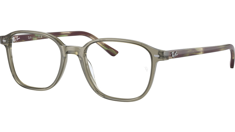 Leonard Optics RB5393 8178