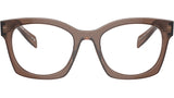 PR A05V 17O1O1 Brown
