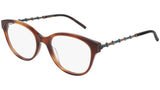 GG0656O 002 brown tortoise