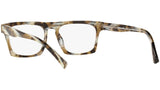 N°861 3099 004 tortoise