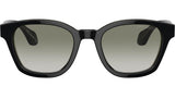AR 8207 60873M Black Green