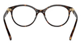 SK2019 1002 Dark Havana