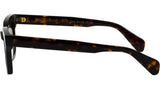 TUTTO Tortoise