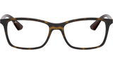 RB7047 Optics 5573