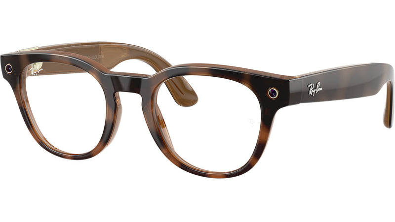 Meta Scriber Optics Gen2