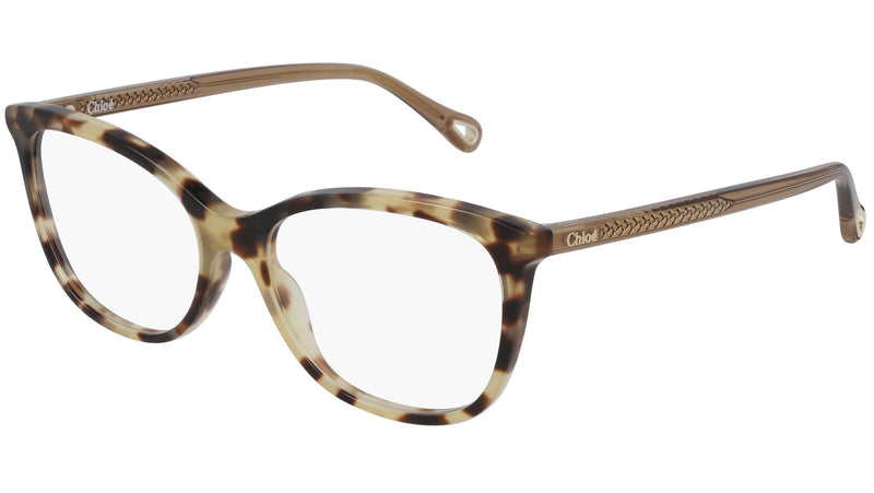 CH0013O 001 orange havana