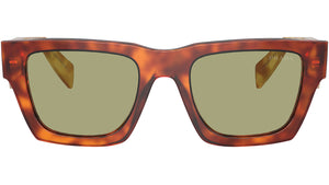PR A06S 11P60C Cognac