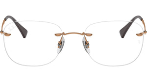 RB8748 Optics 1131