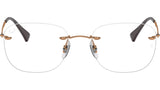 RB8748 Optics 1131