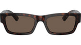 PR A03S 17N08T Tortoise