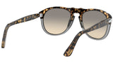 PO0649 brown tortoise and grey grey