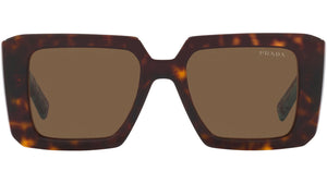 PR 23YS medium havana