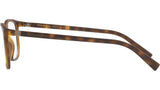DG 5027 1935 tortoise