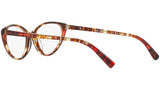 3081 004 tortoise