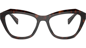 PR A20V 17N1O1 Tortoise