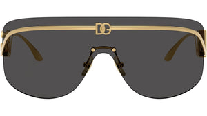 DG 2320 02/87