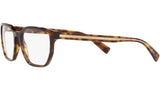 DG 3338 502 tortoise