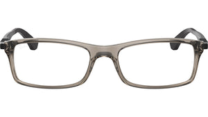 RB7017 Optics 8059
