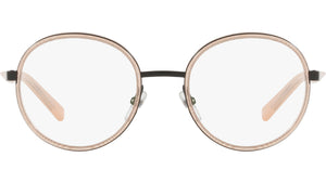 2025 003 tortoise