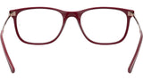 RB7244 Optics 8099