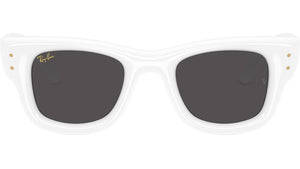 Wayfarer Puffer RB4940 671/87