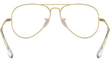Aviator Optics RB6489 2890