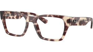 RB5448 Optics 8460
