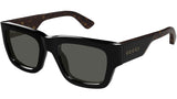 GG1668S 001