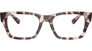RB5448 Optics 8461