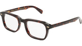 SEGNO Tortoise