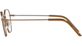 DG 1325 1356 brown