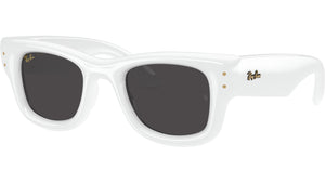Wayfarer Puffer RB4940 671/87