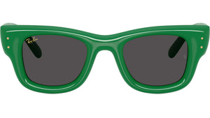 Wayfarer Puffer RB4940 683487