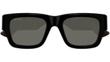 GG1668S 001