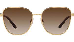 DG 2293 02/13 Gold Brown