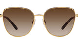 DG 2293 02/13 Gold Brown