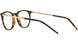 DG 5074 502 tortoise