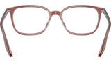 RB5406 Optics 8171