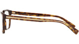 DG 3338 502 tortoise